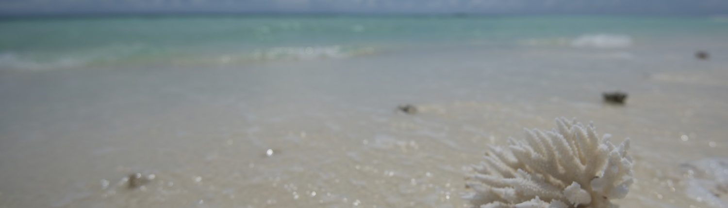 spiagge maldive