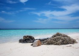 Crociere Macana Maldives