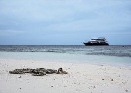crociere alle Maldive con Macana