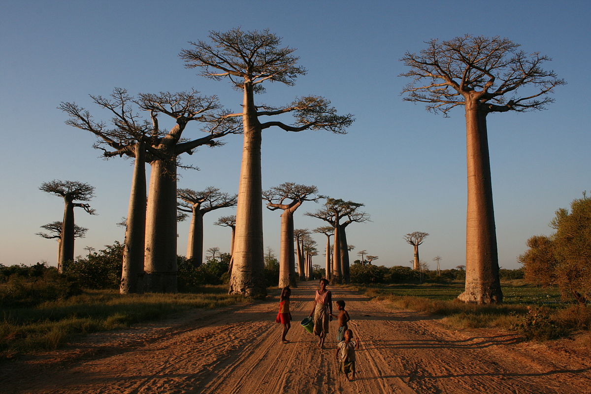 viaggi Madagascar